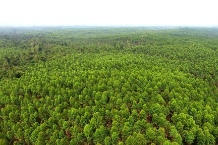 APRIL Buka Pengaduan Keluhan Publik